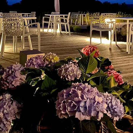 Hotel Avaneo